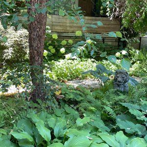 Meet your Posher, Cynthia